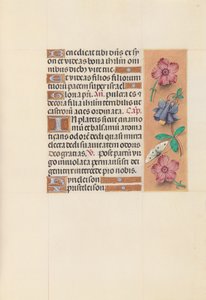 西班牙天主教皇后伊莎贝拉女王的时间： 144r，c。 1500。 作者 马克西米利安第一本祈祷书的硕士
