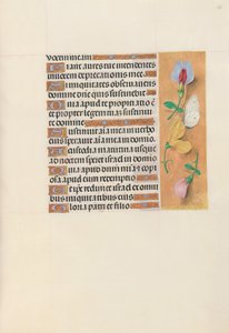 西班牙天主教皇后伊莎贝拉女王的时间： 156r，c。 1500。 作者 马克西米利安第一本祈祷书的硕士