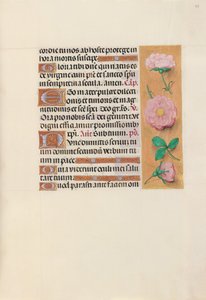 西班牙天主教皇后伊莎贝拉女王的时间： 157r，c。 1500。 作者 马克西米利安第一本祈祷书的硕士