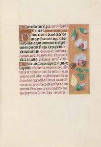 西班牙天主教皇后伊莎贝拉女王的时间： 165r，c。 1500。 作者 马克西米利安第一本祈祷书的硕士