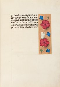西班牙天主教皇后伊莎贝拉女王的时间： 16r，c。 1500。 作者 马克西米利安第一本祈祷书的硕士