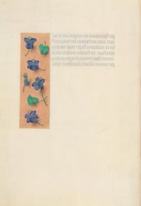 西班牙天主教皇后伊莎贝拉女王的时间： 16v，短边框，c。 1500。 作者 马克西米利安第一本祈祷书的硕士