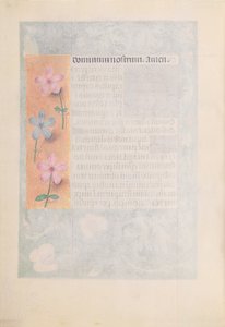 西班牙天主教皇后伊莎贝拉女王的时间： 194v，约1500。 作者 马克西米利安第一本祈祷书的硕士