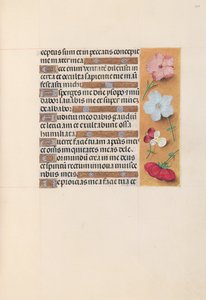 西班牙天主教皇后伊莎贝拉女王的时间： 205r，c。 1500。 作者 马克西米利安第一本祈祷书的硕士