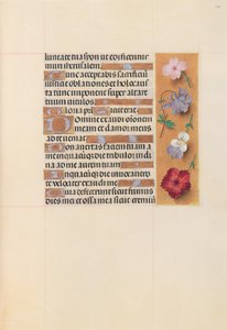 西班牙天主教皇后伊莎贝拉女王的时间： 206r，c。 1500。 作者 马克西米利安第一本祈祷书的硕士