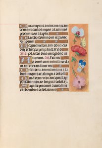 西班牙天主教皇后伊莎贝拉女王的时间： 221r，c。 1500。 作者 马克西米利安第一本祈祷书的硕士