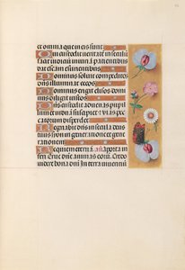 西班牙天主教皇后伊莎贝拉女王的时间： 225r，c。 1500。 作者 马克西米利安第一本祈祷书的硕士