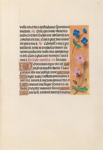 西班牙天主教女王伊莎贝拉的小时：  Fol.233r 作者 马克西米利安第一本祈祷书的硕士