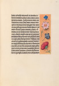西班牙天主教皇后伊莎贝拉女王的时间： 245r，c。 1500。 作者 马克西米利安第一本祈祷书的硕士