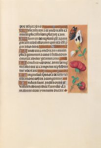 西班牙天主教女王伊莎贝拉的小时：  Fol.249r 作者 马克西米利安第一本祈祷书的硕士