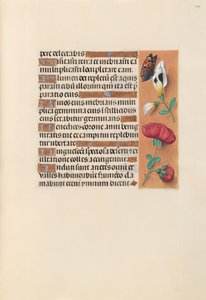 西班牙天主教皇后伊莎贝拉女王的时间： 249r，c。 1500。 作者 马克西米利安第一本祈祷书的硕士