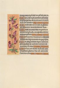 西班牙天主教皇后伊莎贝拉女王的时间： 253v，c。 1500。 作者 马克西米利安第一本祈祷书的硕士