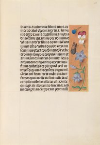 西班牙天主教皇后伊莎贝拉女王的时间： 263r，c。 1500。 作者 马克西米利安第一本祈祷书的硕士