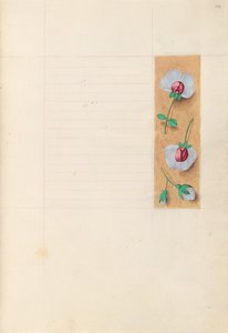 西班牙天主教皇后伊莎贝拉女王的时间： 279r，c。 1500。 作者 马克西米利安第一本祈祷书的硕士
