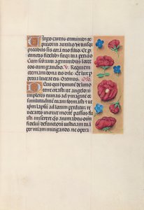 西班牙天主教皇后伊莎贝拉女王的时间： 28r，c。 1500。 作者 马克西米利安第一本祈祷书的硕士