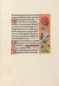 西班牙天主教女王伊莎贝拉的小时：  Fol.46r 作者 马克西米利安第一本祈祷书的硕士