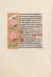 西班牙天主教皇后伊莎贝拉女王的时间： 47v，c。 1500。 作者 马克西米利安第一本祈祷书的硕士