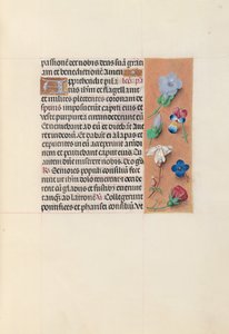 西班牙天主教皇后伊莎贝拉女王的时间： 54r，c。 1500。 作者 马克西米利安第一本祈祷书的硕士