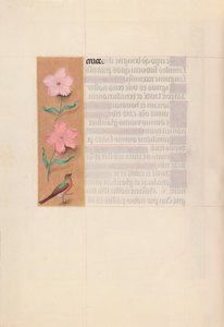 西班牙天主教皇后伊莎贝拉女王的时间： 56v，c。 1500。 作者 马克西米利安第一本祈祷书的硕士