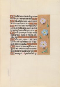 西班牙天主教皇后伊莎贝拉女王的时间： 67r，c。 1500。 作者 马克西米利安第一本祈祷书的硕士