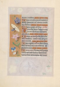 西班牙女王伊莎贝拉-天主教徒的时间：Fol.77v，约1500。