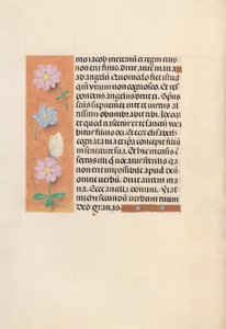 西班牙天主教皇后伊莎贝拉女王的时间： 94v，c。 1500。 作者 马克西米利安第一本祈祷书的硕士