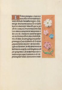 西班牙天主教皇后伊莎贝拉女王的时间： 95r，c。 1500。 作者 马克西米利安第一本祈祷书的硕士