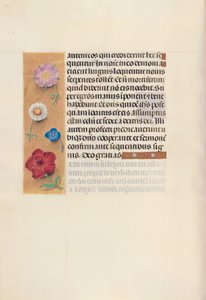 西班牙天主教皇后伊莎贝拉女王的时间： 96v，c。 1500。 作者 马克西米利安第一本祈祷书的硕士