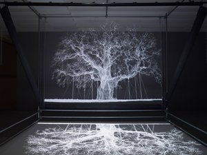 阿尔比恩，2017（投影仪、媒体播放器、脚手架、透明薄膜、木材、油漆、镜子、拉伸配件） 作者 马特·科利肖