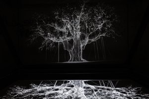 阿尔比恩，2017（投影仪、媒体播放器、脚手架、透明薄膜、木材、油漆、镜子、拉伸配件） 作者 马特·科利肖