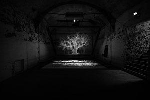 阿尔比恩，2017（投影仪、媒体播放器、脚手架、透明薄膜、木材、油漆、镜子、拉伸配件） 作者 马特·科利肖