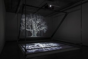 阿尔比恩，2017（投影仪、媒体播放器、脚手架、透明薄膜、木材、油漆、镜子、拉伸配件） 作者 马特·科利肖