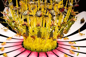 Equinox，2021（丙烯酸、电路、液压、漆、马达、油漆、回收树脂、钢材） 作者 马特·科利肖