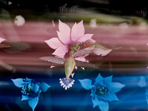 离心灵魂》，2016 年（亚克力、铝、钢、LED 灯、电机、电子电路、树脂和涂料） 作者 马特·科利肖