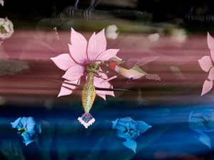 离心灵魂》，2016 年（亚克力、铝、钢、LED 灯、电机、电子电路、树脂和涂料） 作者 马特·科利肖