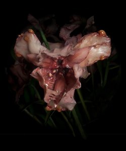 Venal Muse, Viridor, 2012（树脂、搪瓷漆、木材、玻璃、钢材） 作者 马特·科利肖