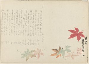 日本枫 作者 松川半山