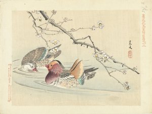 两只鸭子
Keibun 的花鸟素描--第一部分（系列标题）
Keibun kacho gafu zenpen（物体上的系列标题） 作者 青木小三郎