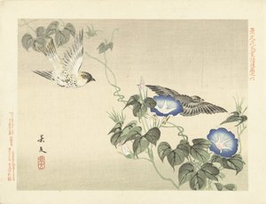 两只鸟在蓝花楹附近飞翔
Keibun 的花鸟素描--第三部分（系列标题）
Keibun kacho gafu kohen（物体上的系列标题） 作者 青木小三郎