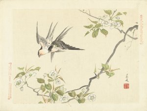 两只燕子 庆文花鸟素描 - 第一篇（系列标题） Keibun kacho Giveu zenpen（物体上的系列标题） 作者 青木小三郎