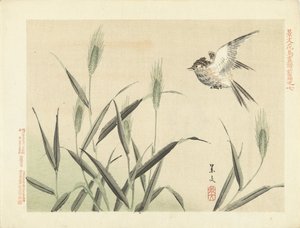 鸟儿在草丛中飞翔
Keibun 的花鸟素描--第一部分（系列标题）
Keibun kacho gafu zenpen（物体上的系列标题） 作者 青木小三郎