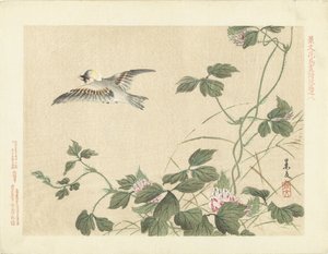 鸟儿在开着粉色花朵的爬山虎附近飞走了
Keibun 的花鸟速写--第三部分（系列标题）
Keibun kacho gafu kohen（物体上的系列标题） 作者 青木小三郎