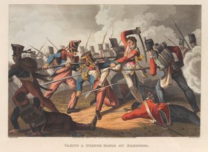 1811年在巴罗莎取一只法国鹰