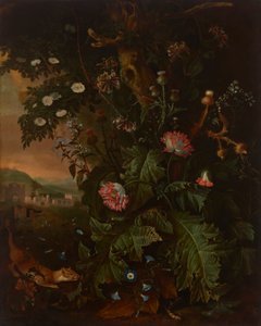 林地上有黄鼠狼、老鼠、罂粟和蓟草，远处是古典建筑 作者 马蒂亚斯·威斯（Matthias Withoos）