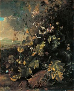 森林地上的蝴蝶和蜥蜴 作者 马蒂亚斯·威斯（Matthias Withoos）