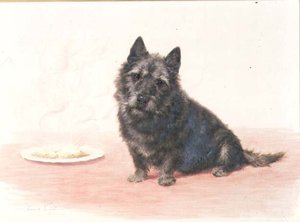 晚餐时间--坐在盘子旁的苏格兰梗犬 作者 莫德伯爵