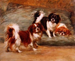 三只查理斯国王犬在一个垫子上 作者 莫德伯爵