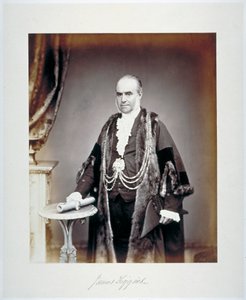 詹姆斯-菲金斯，伦敦郡长，身着冤狱服，约1865年