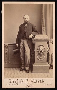 奥斯尼尔-查尔斯-马什1831-1879年的肖像，1866年。