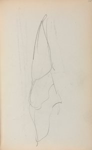 《意大利素描本》，《帆》第70页，1898-1899年。 作者 莫里斯·巴西·普伦德加斯特